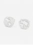 Gemelli mappamondo in argento massiccio globe trotter II