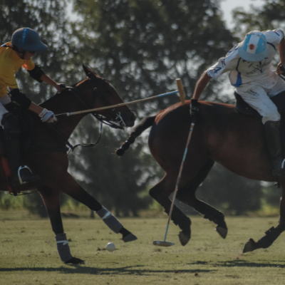 giocatori di polo
