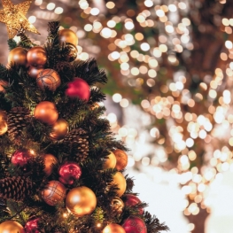 Quale look per un Natale particolare?