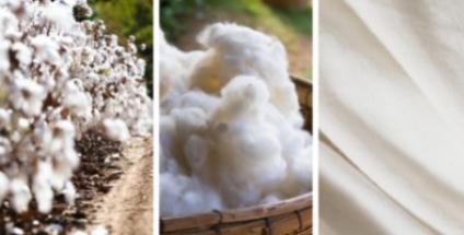 Che cosa è il cotone spazzolato?