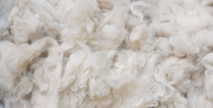 La lana merino: alleanza perfetta tra calore ed eleganza